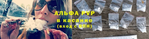 a pvp Каменка
