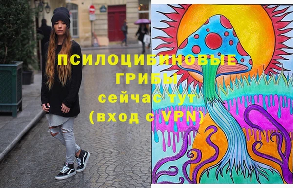 a pvp Каменка