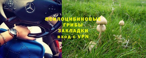 гашиш Каменногорск
