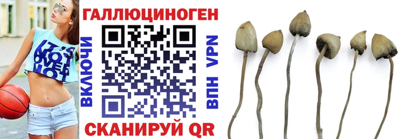 Псилоцибиновые грибы Magic Shrooms  Купить  Калач 
